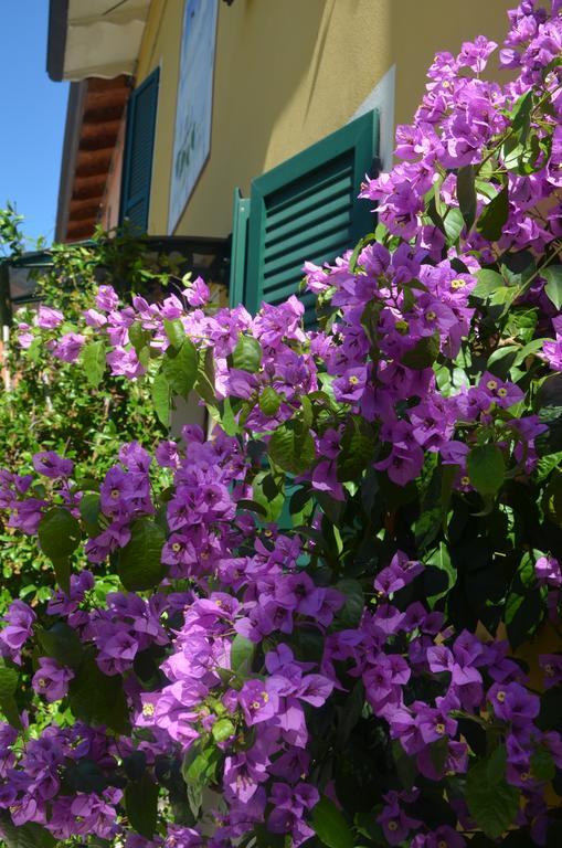 La Meridiana Affittacamere Colorno Exterior photo